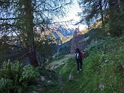 11 Per il 201 a destra nella pineta